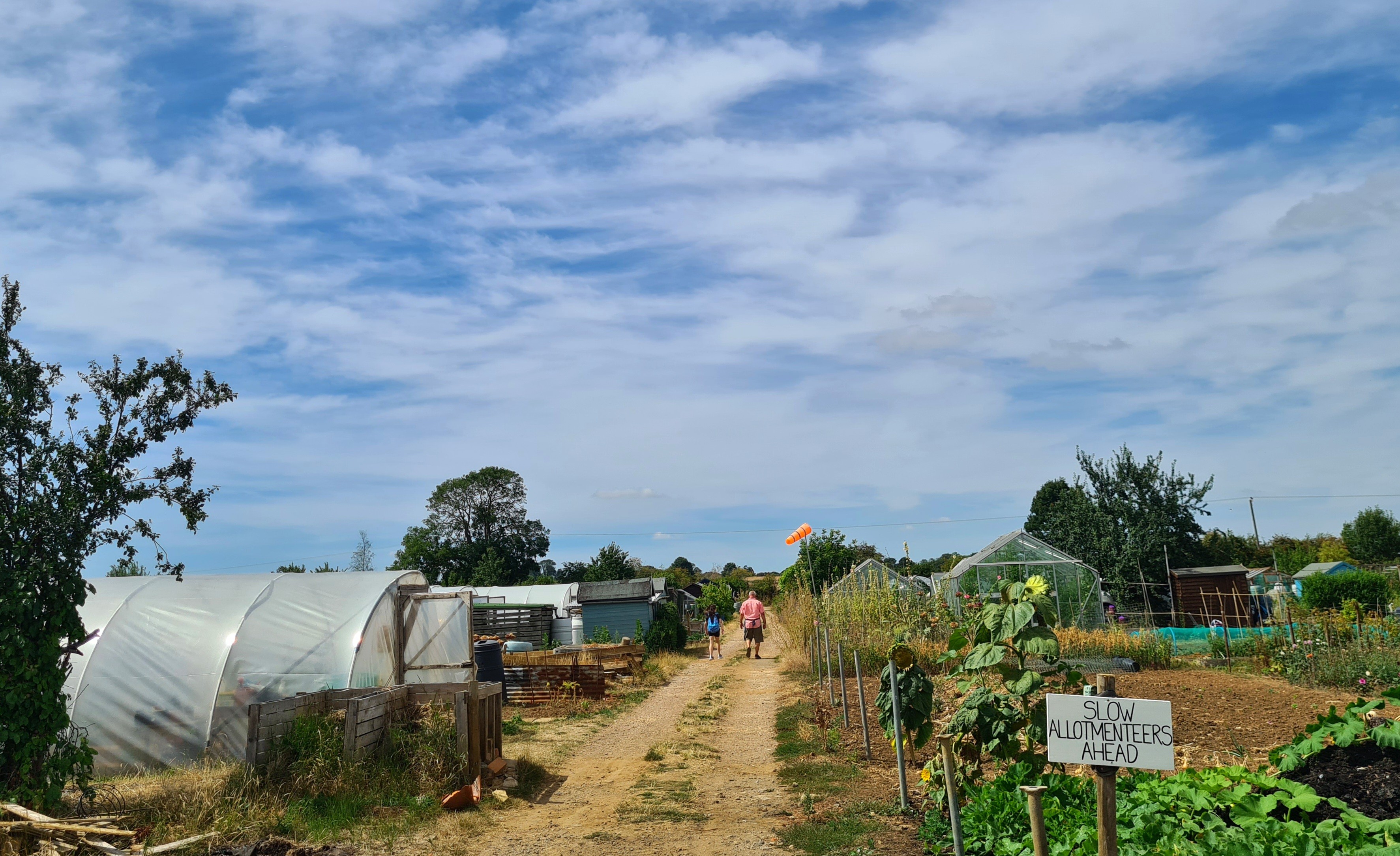 Photo of the allotments